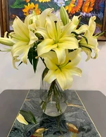 15 Желтых лилий+дают траву+агент сохранения присутствия