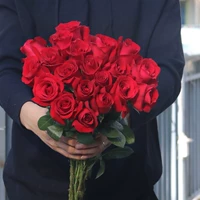 Corolla/Princess/Black Magic 18+2 (потеря потери)+Подготовка присутствия