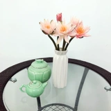 Вода Лилия Цветок Юньнан Прямой Оптовая лилия Букет Скорость Упаковка лунный цветок Цветок Бесплатная доставка бесплатная доставка в дом Тонгчэнг