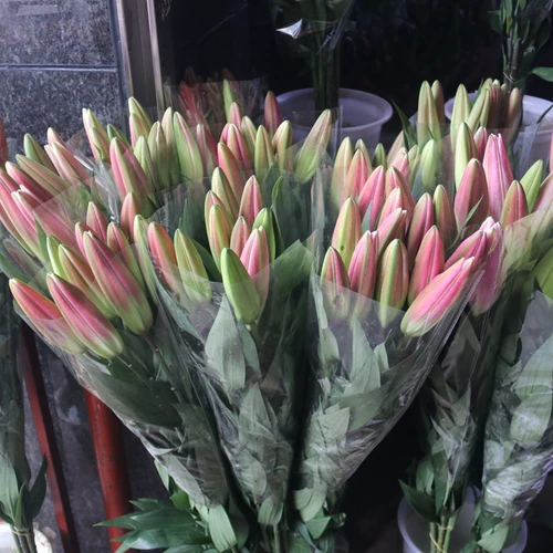 9,9 Бесплатная доставка духи лилия цветы Yunnan Base Direct Оптовая подсолнечная пачка Домохозяйство водных цветов.