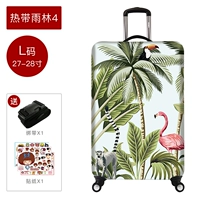 Код тропического дождевого леса 4_L