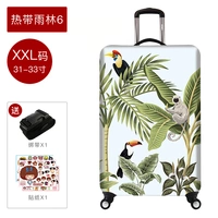 Тропический тропический лес 6 _ XXL -код