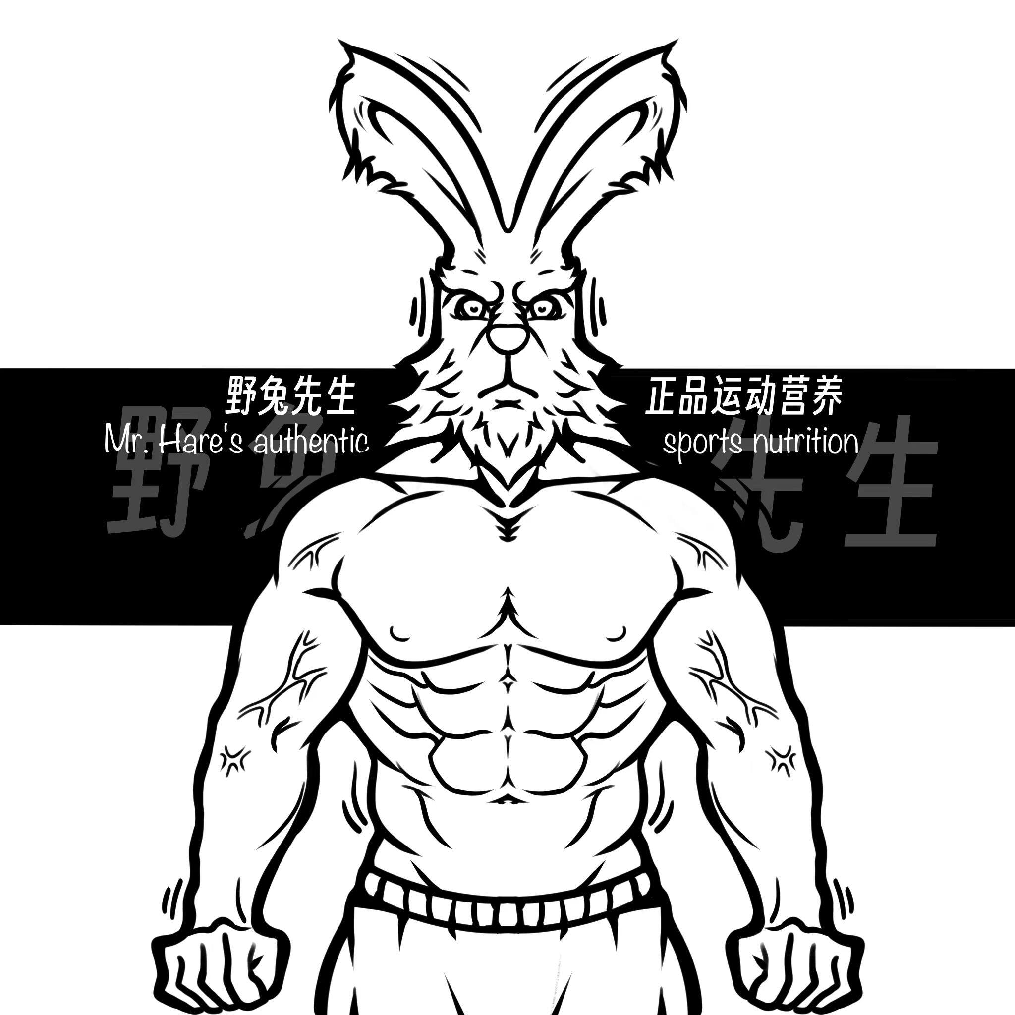 野兔先生正品运动营养