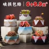 등 화분 도자기 아이디어 아이디어 는 있는 고기는 구경 조도 에서 배기 작은 사이즈.