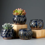 Ретро сочные керамические цветочные горшки грубые керамические пневматические семейные специальное предложение специальное предложение зеленые растения зеленые горшки бесплатная доставка бесплатная доставка личность маленький горшок