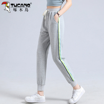 Woodpecker Guardian's new autumn loose thin-footed pure cotton sweatpants wild with Harun pants
