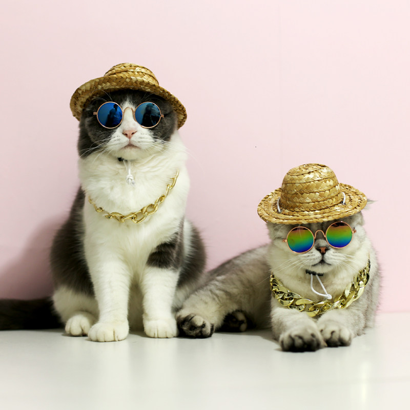House Brief Kitty Sunglasses Sunglasses glasses Pet Gold Necklace Ornaments Accessories Small Dog Puppies BLAME CHAIN SUB-TAOBAO