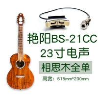 Электрическая коробка BS-21CC (23-дюймовый угол)