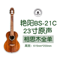 BS-21C (23-дюймовая обычная модель)