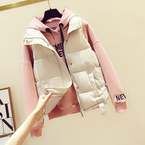 Down cotton vest womens outer pair Korean version 2021 new autumn and winter loose wear horse clip Joker vest waistcoat