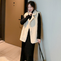 Lamb hair Vest Women 2020 new net red Korean version of loose fur one horse clip outside wear waistcoat coat