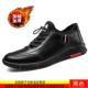 D1912 Black Plus Velvet