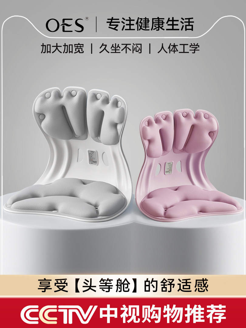 Oes Lumbar Support Cushion, Waist Support Chair, Ergonomic Lumbar Cushion, Office Cushion for Long Periods of Sitting Without Fatigue