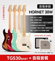 [Профессиональный матч] Детский TG530+Mooer Hornet 30W Динамик