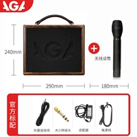 GA-3P (25W)+оригинальный беспроводной микрофон