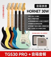 [Профессиональное соответствие] Динамик TG530 PRO+MOOER Bumblebee 30 Вт