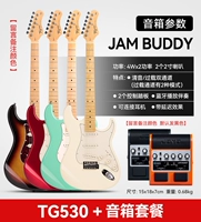 [Удобное сопоставление зарядки] TG530+Zhuo Le Jam-Buddy Speaker