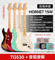 [Advanced Match] TG530+Mooer Hornet 15W Динамик