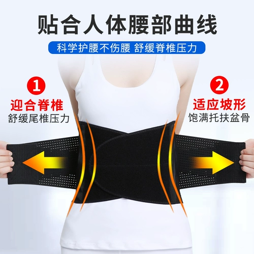 Поясничный ремень поясничного тракта подчеркивает поясничные поясничные поясничные мышцы, мышцы талии, приключение к окружности талии нагревающие магнитные боли