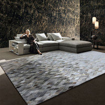 Modern light lavish grey carpet Living room Home Nordic minimalist American Tea Table Room Villa Bedroom Bedside Blanket