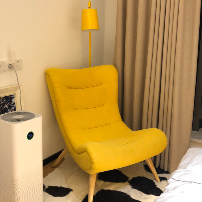 snail chair single sofa chair nordic solid wood creative leisure fabric small family balcony bedroom lazy tiger chair