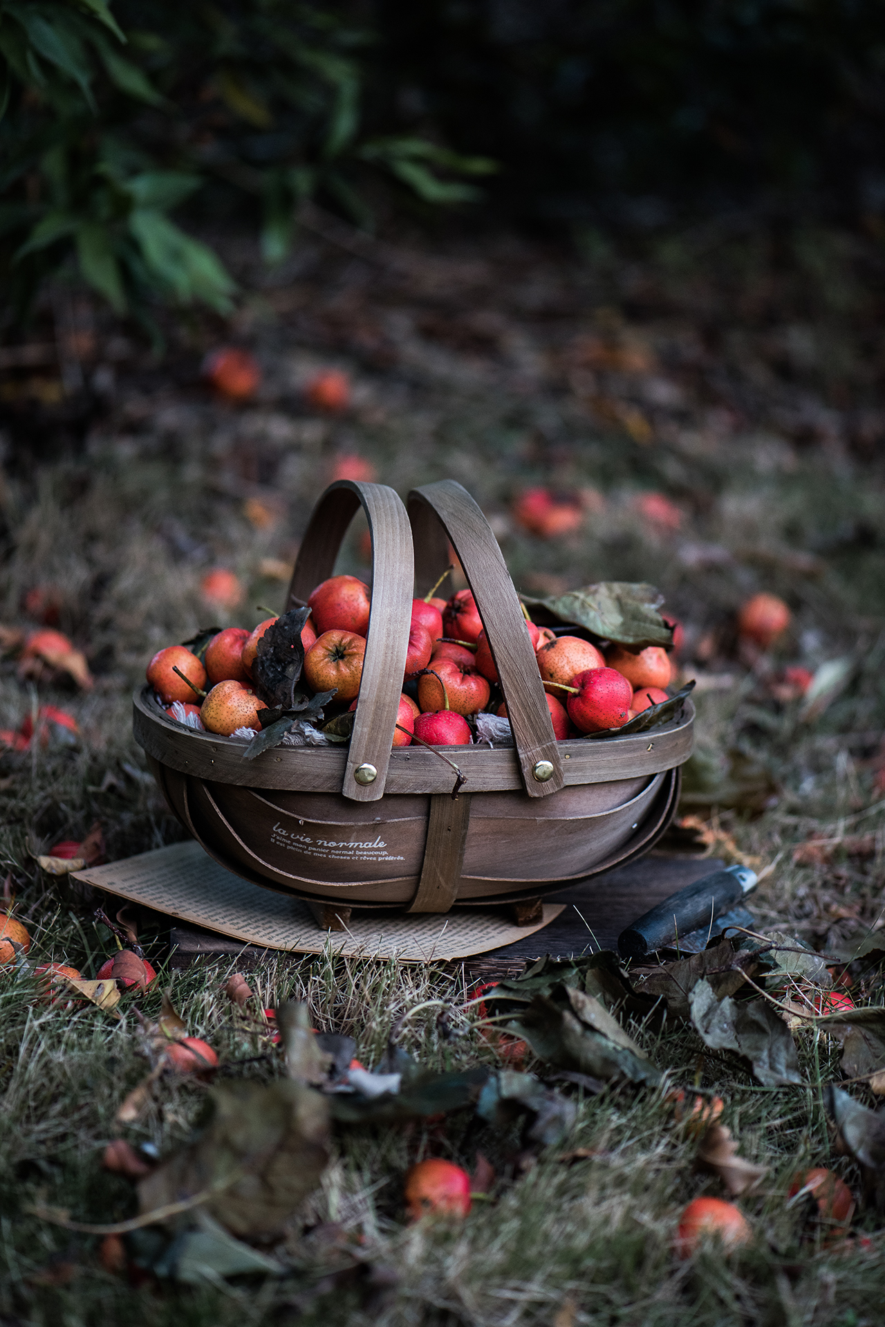 Retro do old boat-shaped wood chip portable basket ins style country style gourmet fruit photography props Dora