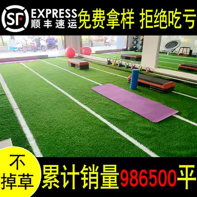 Gym lawn carpet Indoor and outdoor black custom private education plastic fake turf special simulation green balcony