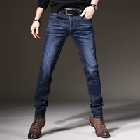 Темно-синий пружин и осень сгиба