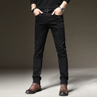 Чистый черный пружин и осень сгиба