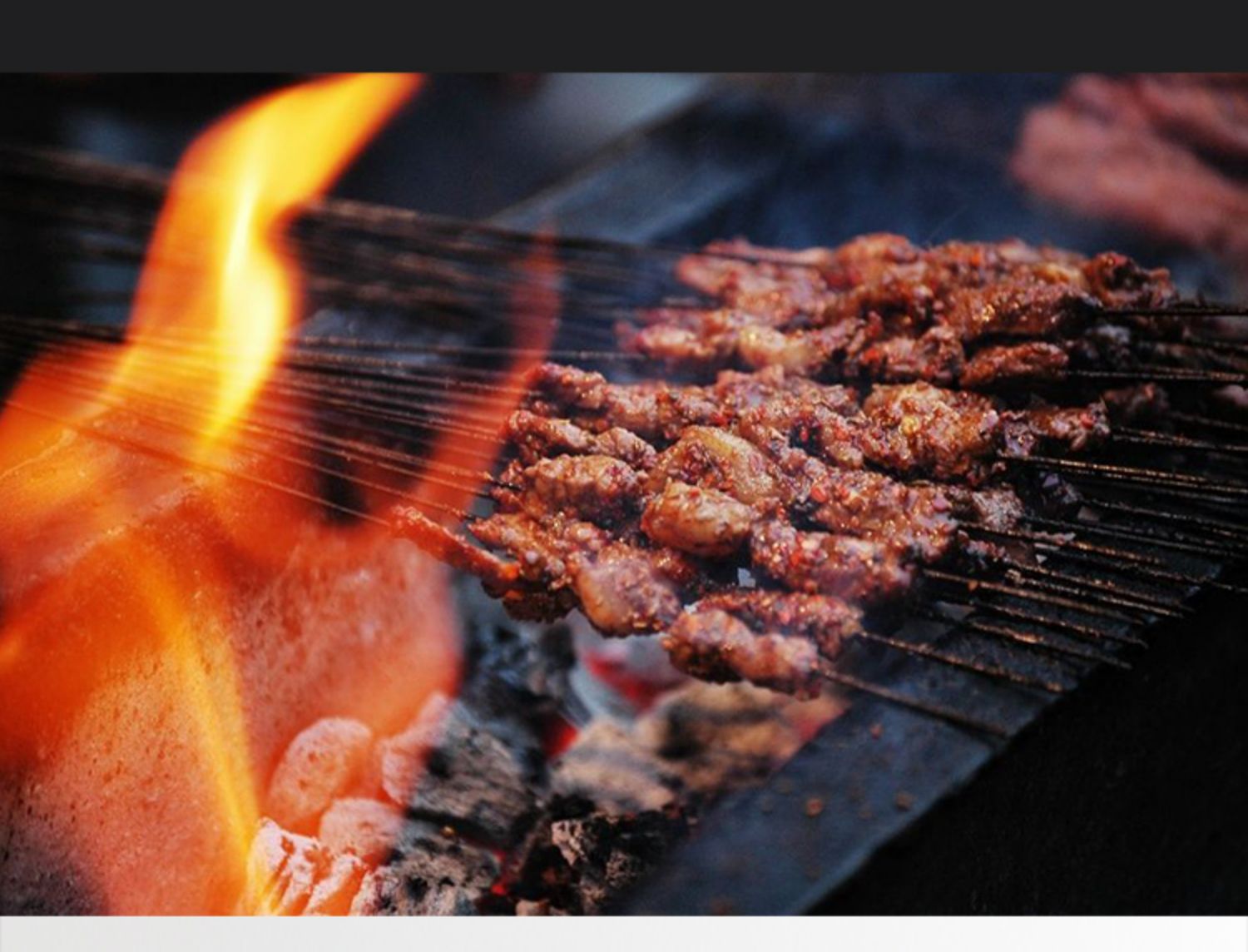 醉鹅娘 智利进口鸟酒白鸟梅洛干红葡萄酒红酒