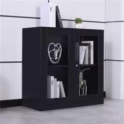 Shenzhen Lihong office document cabinet Low cabinet Table cabinet Tea cabinet Partition cabinet Printer cabinet Tin cabinet