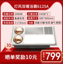 Opal bath bully lamp toilet heating lamp wind double heating exhaust fan lighting integrated lamp warm bath bully 310 6125AS