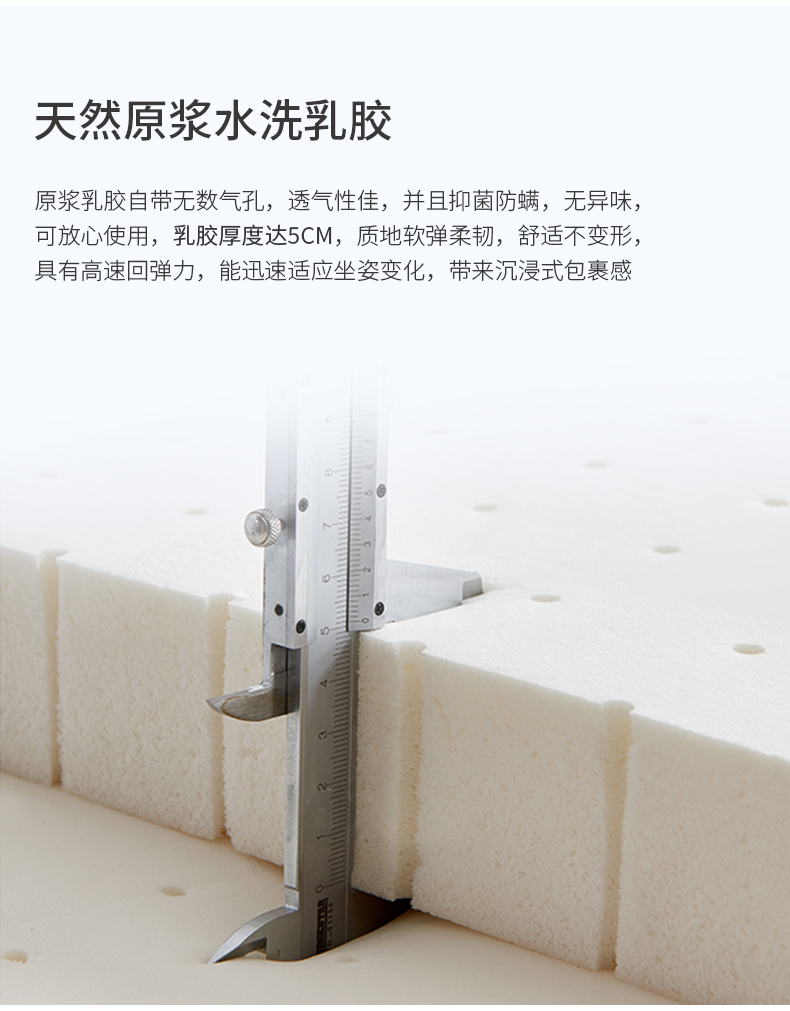 Đậu phụ trên ghế sofa-August_10.jpg