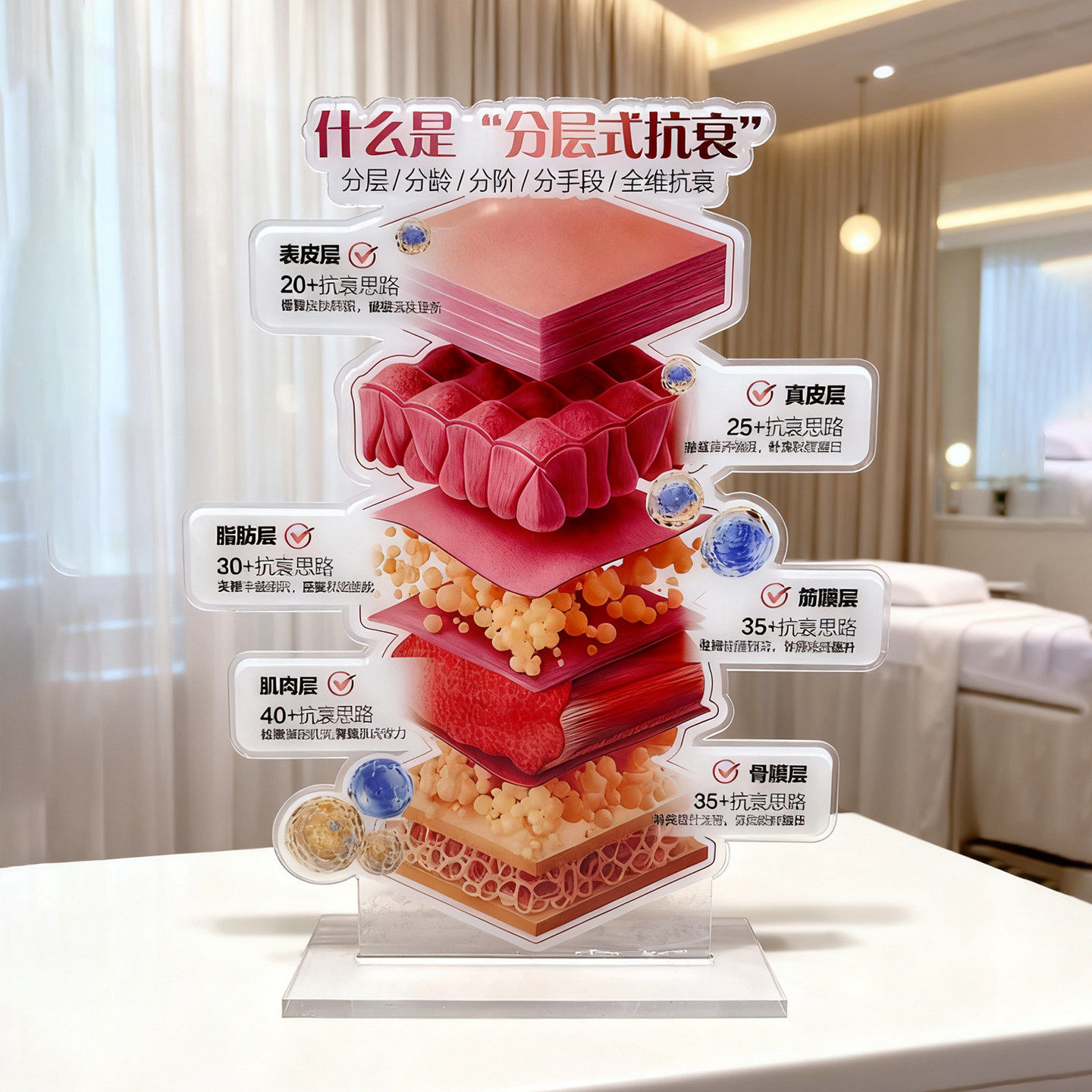Meiye Layered Anti Aging High Definition Transparent Beauty Salon Decoration Skin Structure Skin Management Medical Beauty Tuoke Establishing Brand