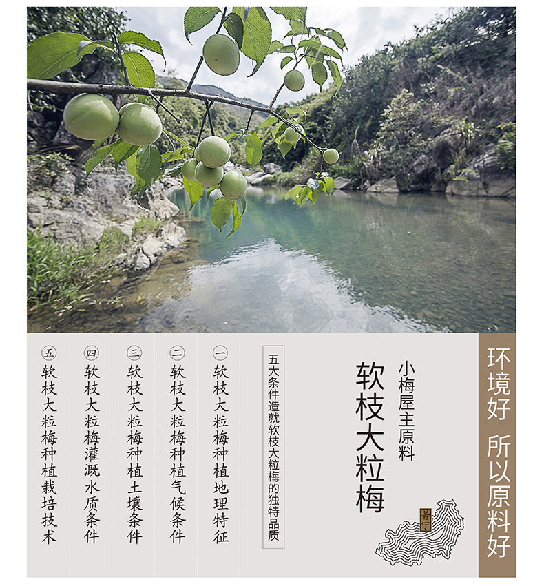 宋茜机场同款 小梅屋 梅子组合4盒装 图3