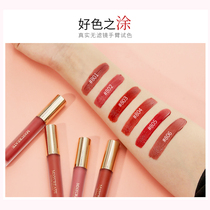 Fog surface velvet matte lip glazed lip liquid lipstick not easily decolonized persistent moisturizing water repellent nourishing and trembling