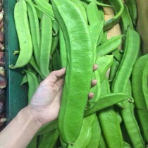 Large knife bean seed Brazil bean long bean horns giant lentil large lentil balcony potted farmhouse vegetable planting holes for spring and autumn sowing