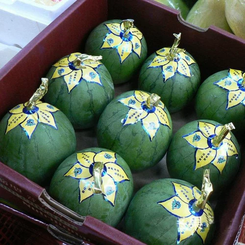 Яблочные семена арбуза, мини-суперсладкие красные семена арбуза, балкон, горшок, фермерский дом, двор, подарок, маленькие семена арбуза