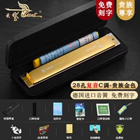 28 -дыра золота развлекательного C Tone+Learning Information