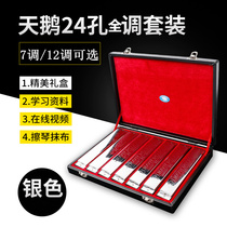 Swan 24-hole 7-tone polyphonic harmonica playing 12-tone set Full set playing beginner ABCDEFG#12-tone set