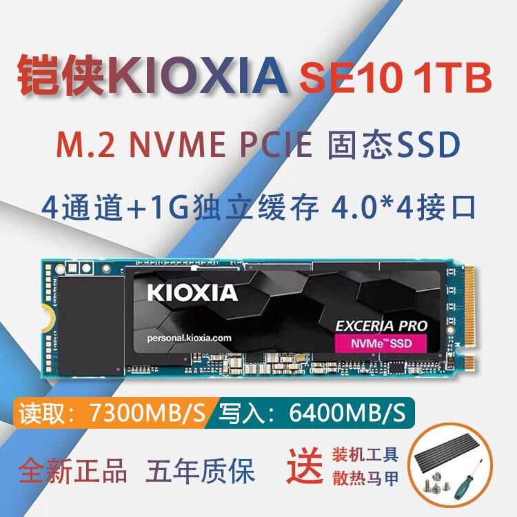 Kaixia RC20 1TB 2T 500G SE10 1T M2 NVME PCIE SSD Solid State Drive