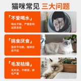 Питание официального танка с белым мясным котом в пищевой пищевой пище