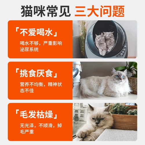 Питание официального танка с белым мясным котом в пищевой пищевой пище