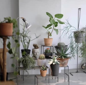 Japanese Minimalist Iron Flower Stand Side Table Floor-Standing Flower Pot Indoor Balcony Corner Flower Stand Green Plants Flower Shop