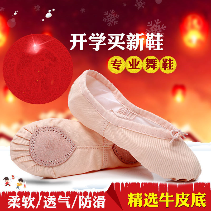 Dance Shoes Girl Dance Special Gymnastics Performance Adult Meat Color Ballet Soft Bottom China Free Lacing Practice Shoes