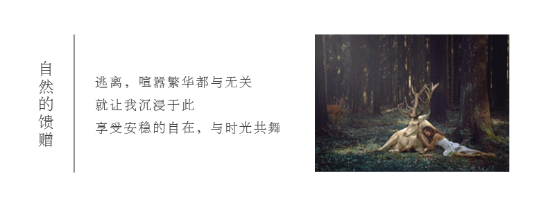 Gương chiếu hậu toàn thân không viền gỗ gương đơn giản hiện đại HD sàn gương cửa hàng quần áo phù hợp gương - Gương gương màu trà