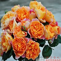 Впечатление