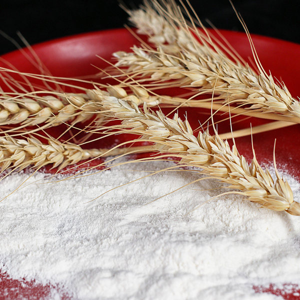 天山 特制一等新疆奇台面粉 10斤 天猫优惠券折后￥29.9包邮（￥49.9-20）