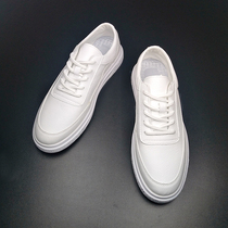 White Board Shoes Mens Shoes Fall Tide Shoes 2021 New Korean version 100 Ride Currents Casual Shoes Men Suits Little White Shoes