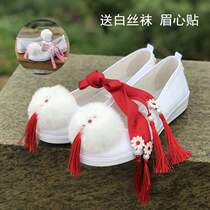 Ancient style shoes female students slope heel canvas antique embroidered shoes Han element dance small white shoes Hanfu accessories shoes